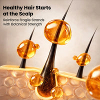 Hair Growth Shampoo - Hair-Strengthening Plant-Based - Chemical-Free Hair Thinning Shampoo For Men And Women - Natural Hair Loss Formula For Thicker Fuller Hair - 16.9 fl oz (500 ml) - Elixir By Cocó March.