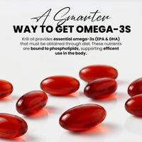 Antarctic Krill Oil By Cocó March - 1000 mg Phospholipid Bound Marine Omega-3 Epa, Powerful Antioxidants, Dha, Choline And Astaxanthin - Fast Absorption - Cardiovascular And Joint Support - 100 Softgels.
