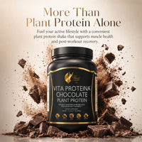 VITA PROTEINA ENERGIA CHOCOLATE