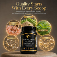 VITA PROTEIN ENERGY VAINILLA