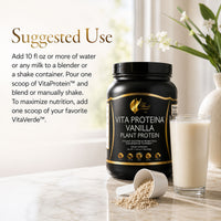 VITA PROTEIN ENERGY VAINILLA